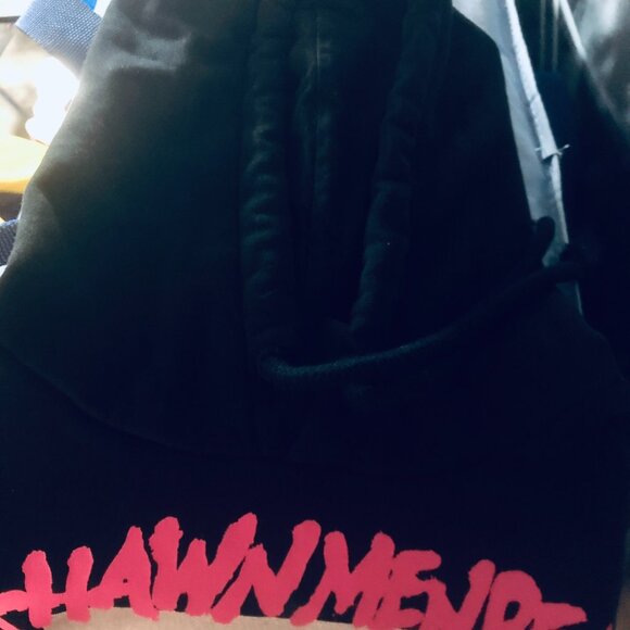 🎤Shawn Mendes 2019 Tour Hoodie XS – Rare Concert Sweatshirt H&M Divided - Picture 3 of 6